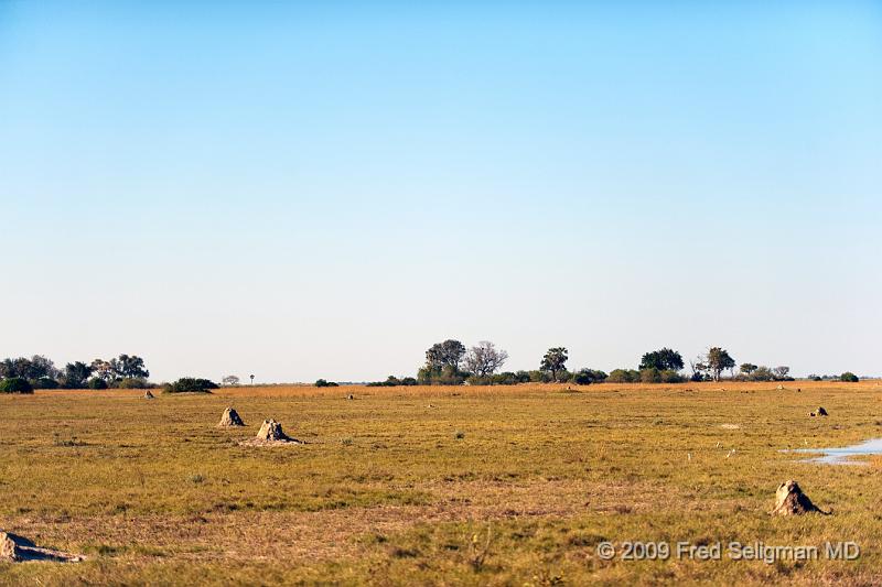 20090616_160442 D3 X1.jpg - Termite Mound, Selinda Spillway, Botswana